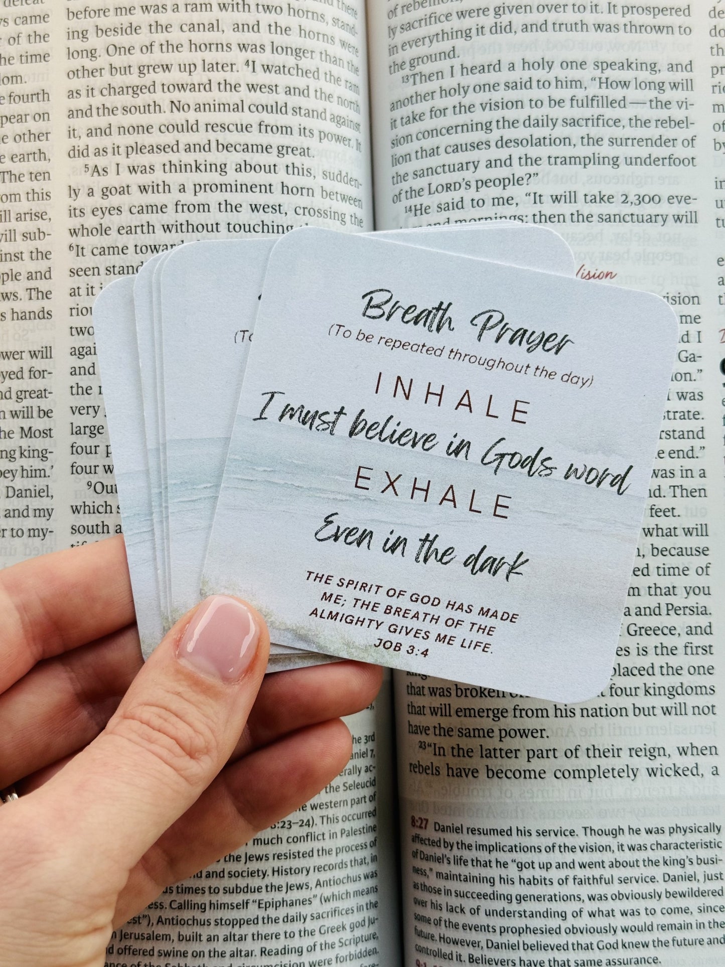 Rooted in Grace Breath Prayer Cards